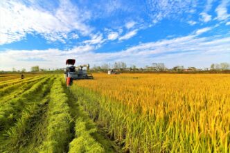 Curso NR 31 CIPATR - Comissão Interna de Prevenção de Acidentes do Trabalho Rural