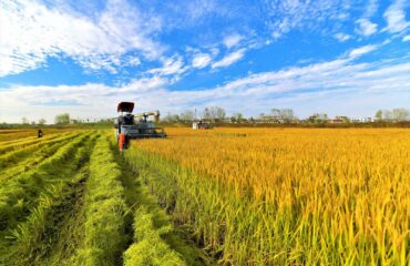 Curso NR 31 CIPATR – Comissão Interna de Prevenção de Acidentes do Trabalho Rural Curso NR 31 CIPATR - Comissão Interna de Prevenção de Acidentes do Trabalho Rural