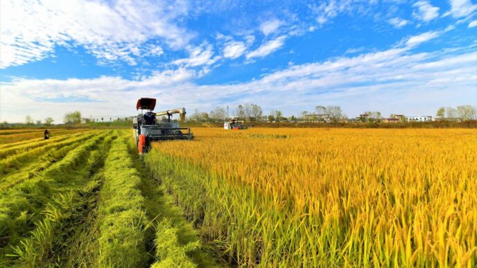 Curso NR 31 CIPATR - Comissão Interna de Prevenção de Acidentes do Trabalho Rural