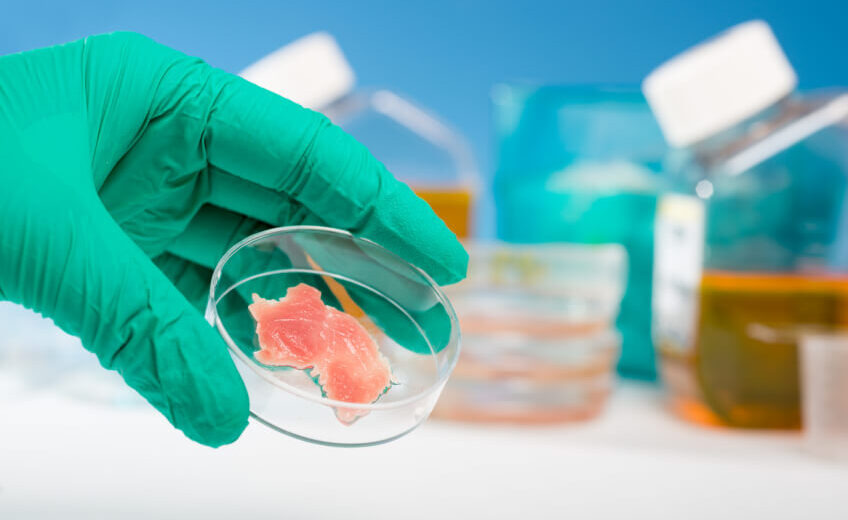 Curso de Análise de Trichinella