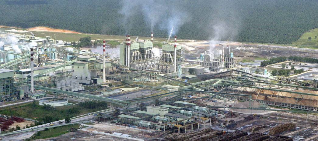 Laudo Poluentes Processos Fabricação de Celulose