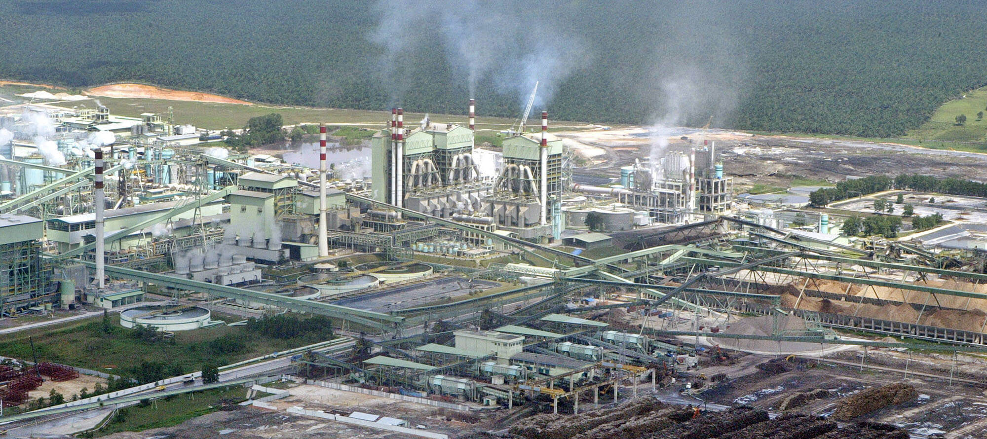 Laudo Poluentes Processos Fabricação de Celulose