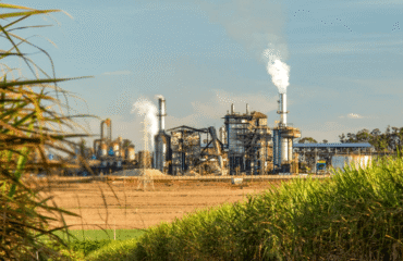 Laudo Emissão de Poluentes- Bagaço de Cana-de-Açúcar Laudo Emissão de Poluentes- Bagaço de Cana-de-Açúcar