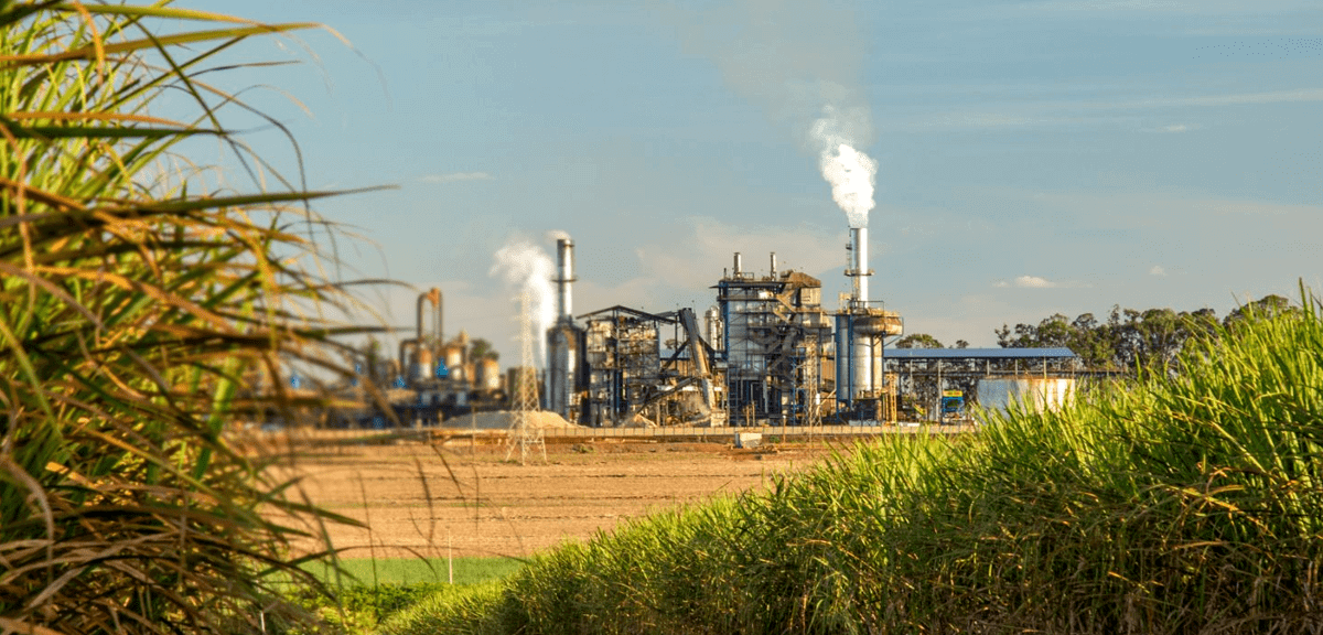 Laudo Emissão de Poluentes- Bagaço de Cana-de-Açúcar