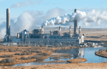 Laudo de Emissão Poluentes Derivados de Madeira Laudo de Emissão Poluentes Derivados de Madeira