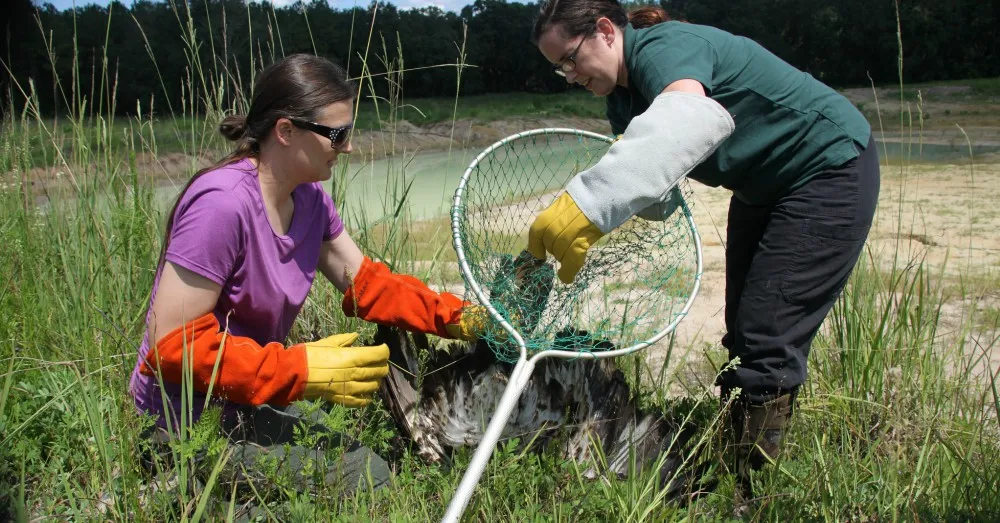 Treinamento Kit Resgate Fauna