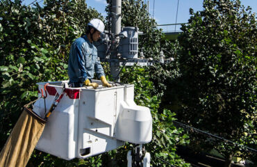 Curso NR 10 SEP em Mandarim Curso NR 10 SEP em Mandarim