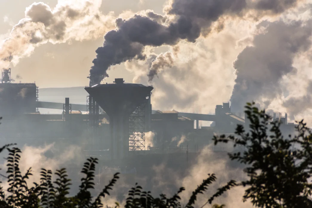 Laudo de Análise de Ringelmann