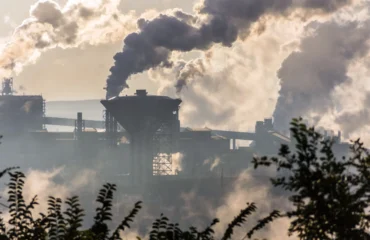 Laudo de Análise de Ringelmann Laudo de Análise de Ringelmann