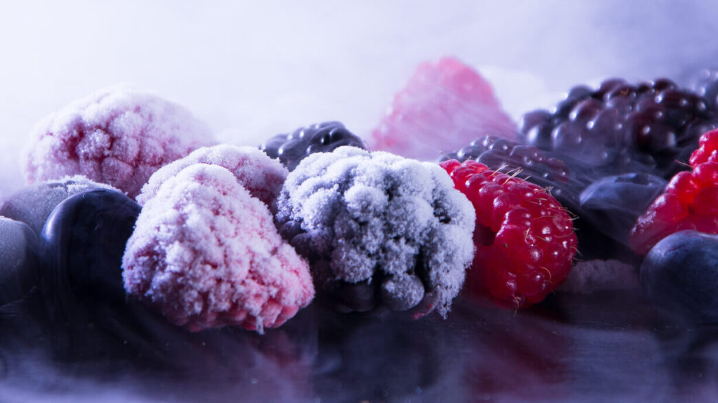 Plano Higienização Alimentos ANVISA/Criogenia