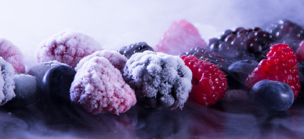 Plano Higienização Alimentos ANVISA/Criogenia