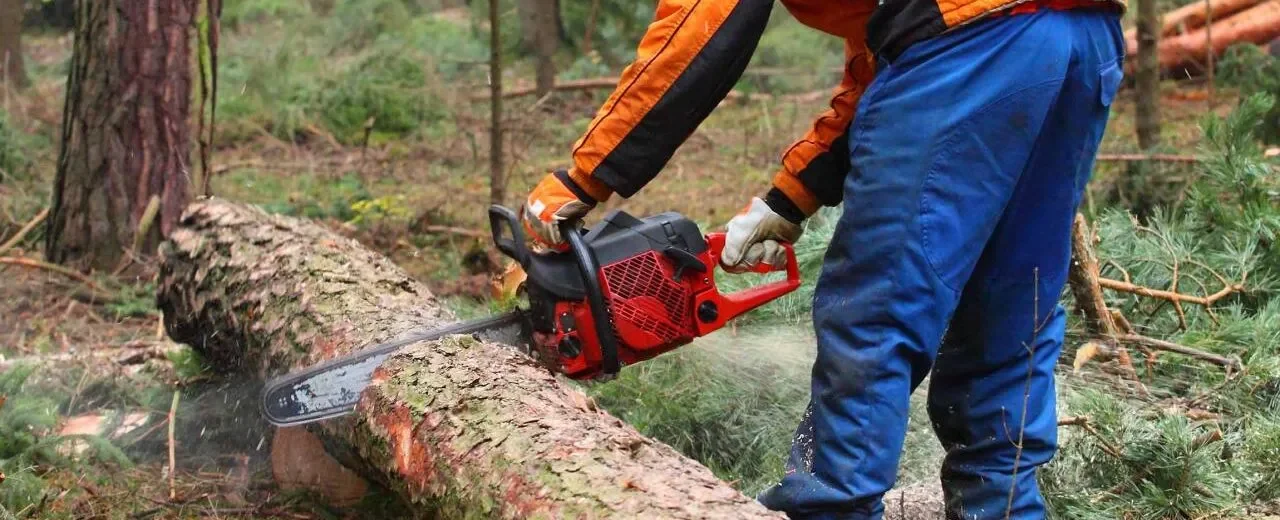 Curso Operador de Motosserra