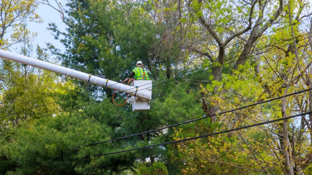 Curso NR 10 Linha Viva para Poda de Árvores