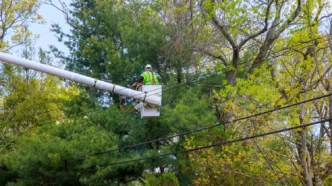 Curso NR 10 Linha Viva para Poda de Árvores