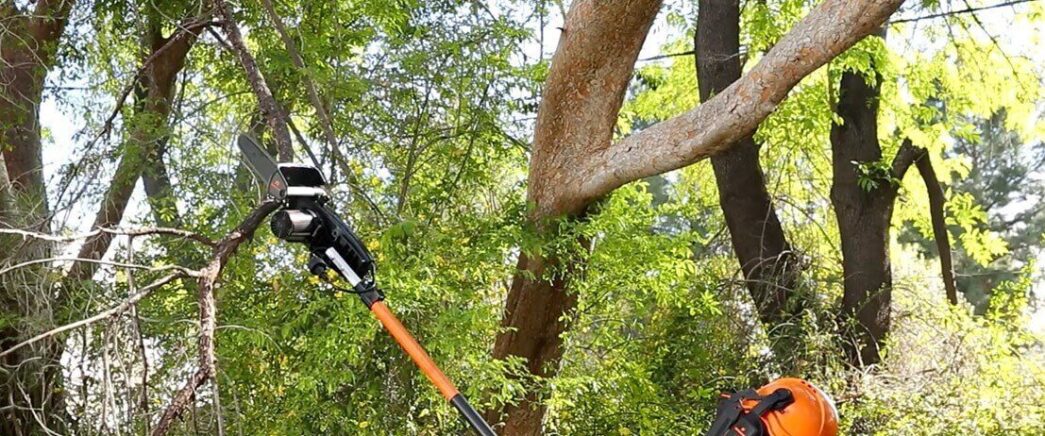 Plano Manutenção Preventiva de Motopoda