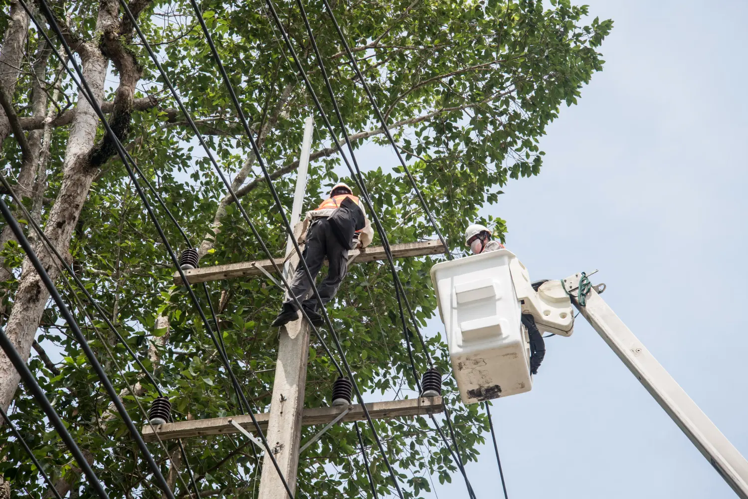 Poda segura realizada com isolamento elétrico e controle de distância conforme critérios da NR-10 e da NBR 14039.