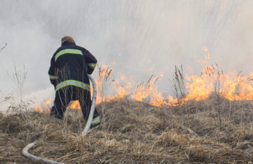Curso Brigada Agrícola Curso Brigada Agrícola Curso Perigos Ambientais e Agrícolas