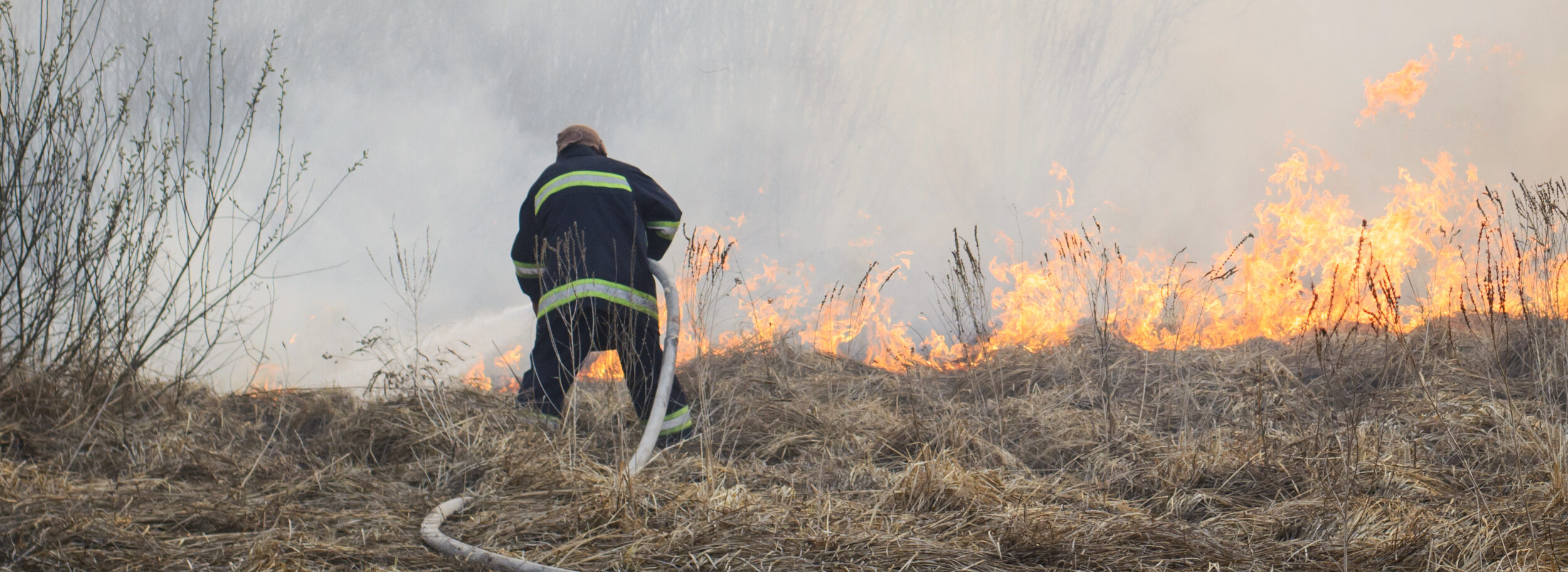 Curso Brigada Agrícola Curso Perigos Ambientais e Agrícolas