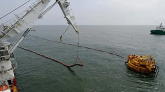 Laudo Guindaste de Defesa Marinha