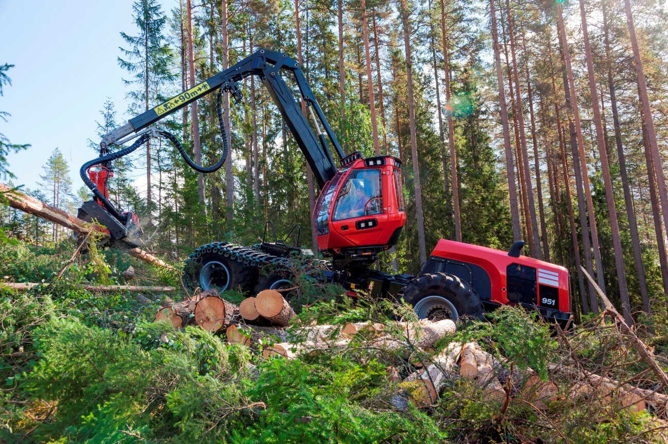 Laudo de Garra Florestal