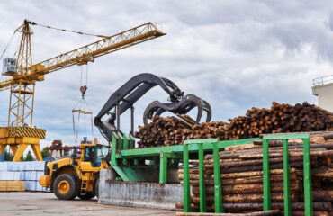 Relatório Técnico de Garra Florestal Relatório Técnico de Garra Florestal