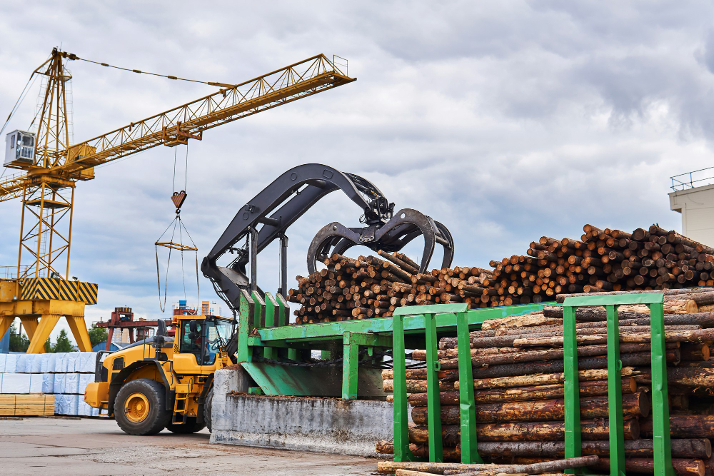 Relatório Técnico de Garra Florestal