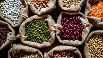 Treinamento de Mercado de Commodities Agrícola