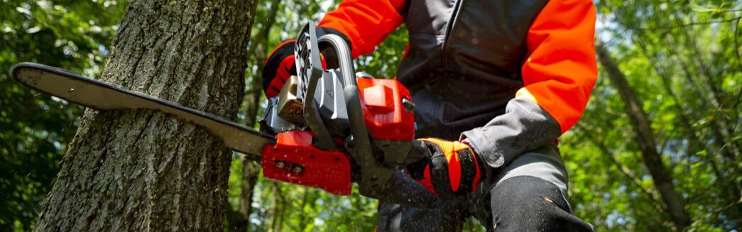 3106 – Treinamento para Operadores de Motosserra, Motopoda e Similares