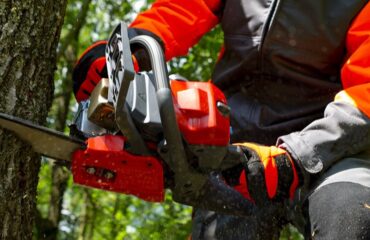 3106 – Treinamento para Operadores de Motosserra, Motopoda e Similares