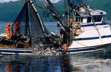 3001 – Treinamento de Emergências – Pescadores Profissionais 3001 – Treinamento de Emergências – Pescadores Profissionais