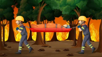 Curso Brigada de Incendio Florestal