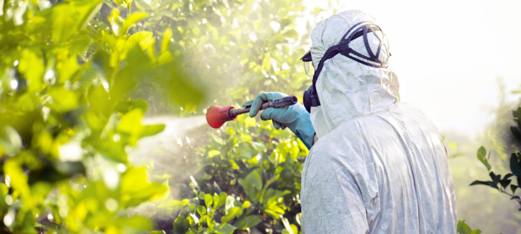 Curso Aplicação de Agrotóxicos Manualmente