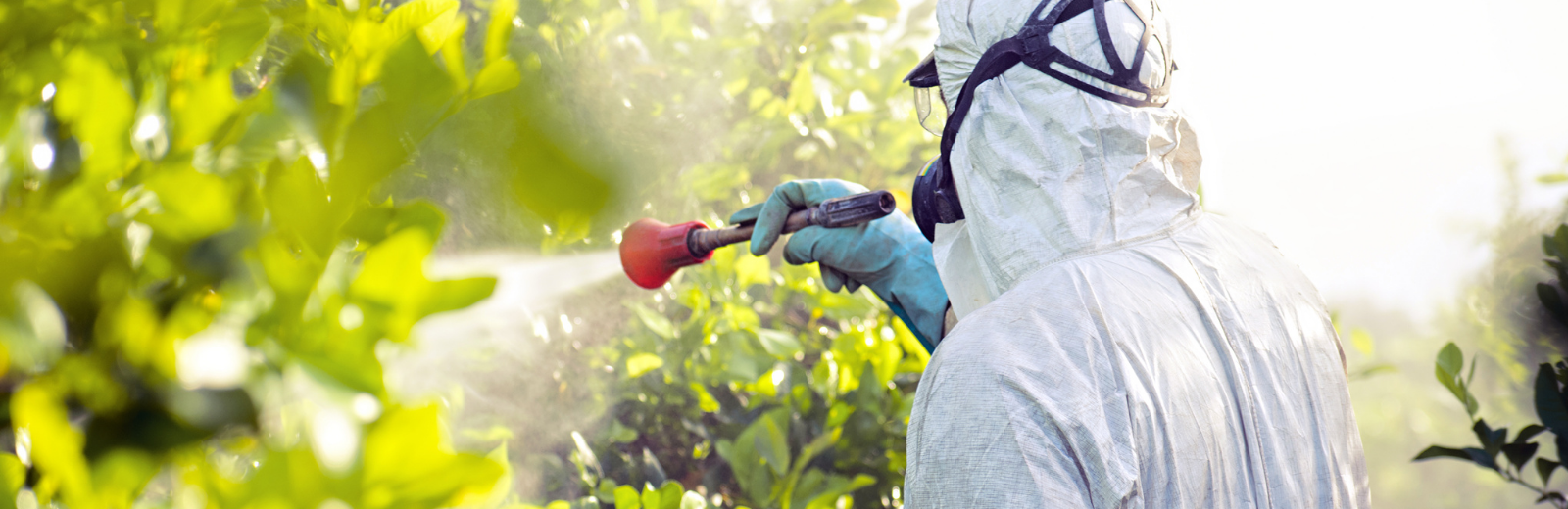 Curso Aplicação de Agrotóxicos Manualmente
