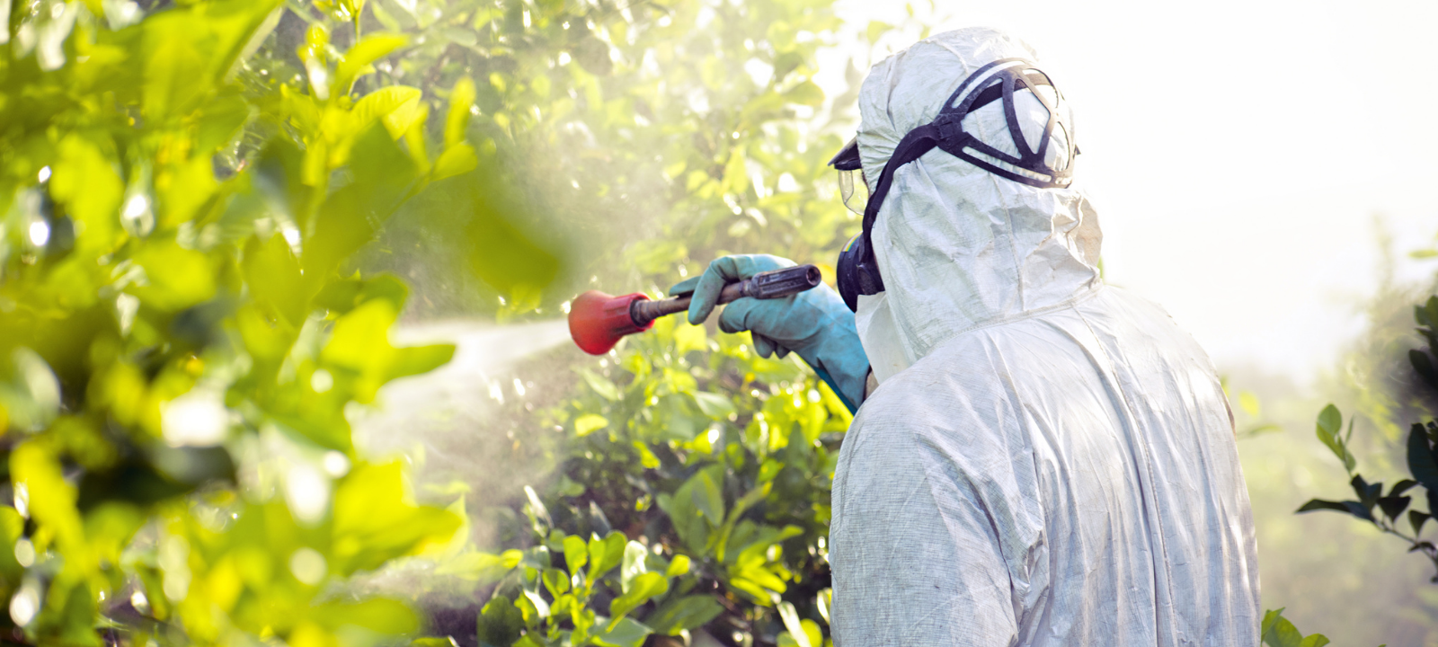 Curso Aplicação de Agrotóxicos Manualmente