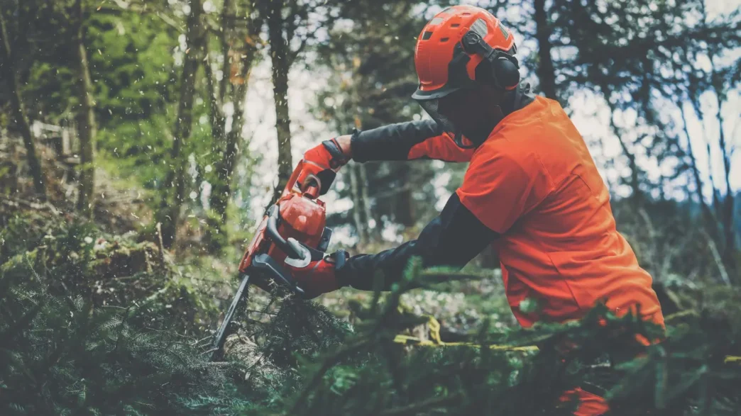 CURSO NR 31 MOTOSSERRA