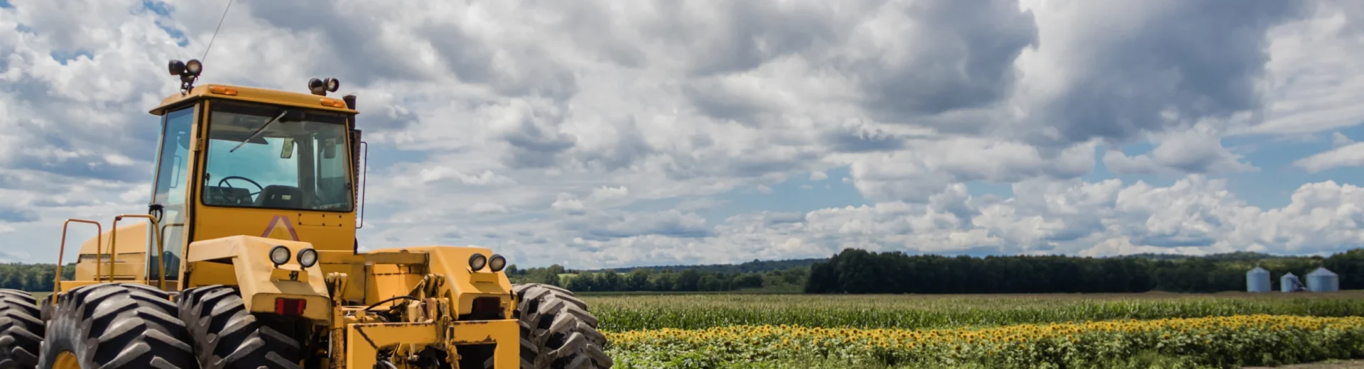 O objetivo do Curso Capacitação Segurança na Operação de Máquinas Autopropelidas e Implementos NR 31 e NR 12 tem por objetivo estabelecer os preceitos a serem observados na organização e no ambiente de trabalho rural, de forma a tornar compatível o planejamento e o desenvolvimento das atividades do setor com a prevenção de acidentes e doenças relacionadas ao trabalho rural.