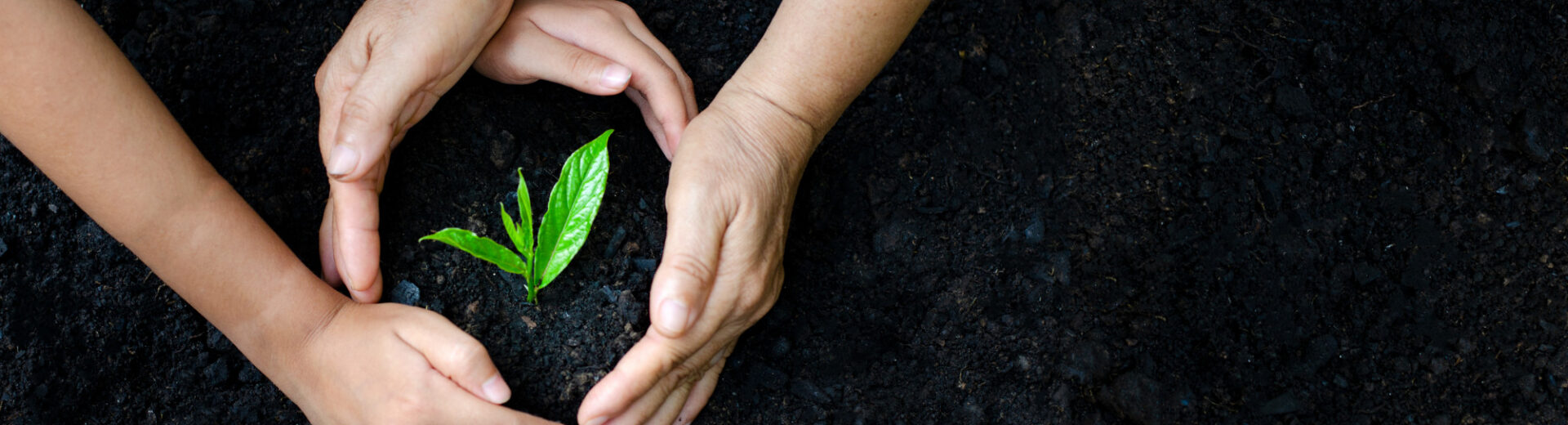 Curso Licenciamento Ambiental