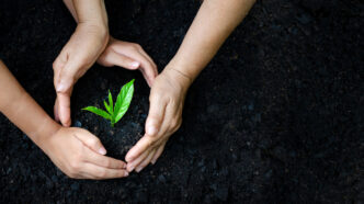 Curso Licenciamento Ambiental