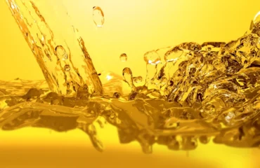 Laudo de Combustível Laudo de Combustível