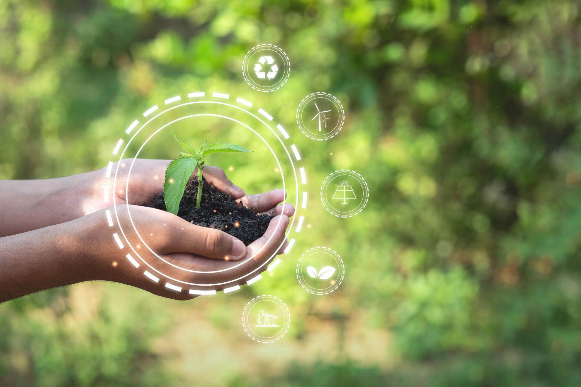 Curso Sistemas de Gestão Ambiental