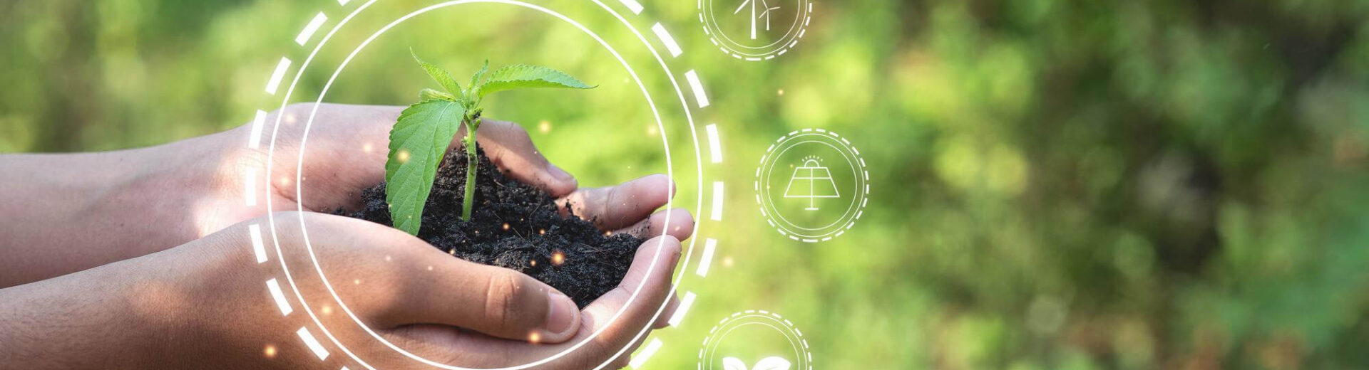 Curso Sistemas de Gestão Ambiental