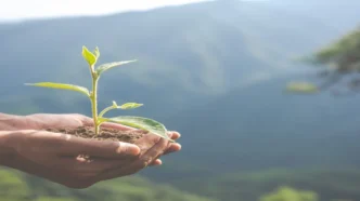 Curso de Arborização