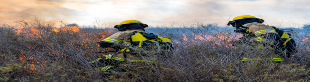 Curso Brigada de Emergência Ambiental