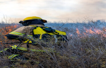 Curso Brigada de Emergência Ambiental Curso Brigada de Emergência Ambiental