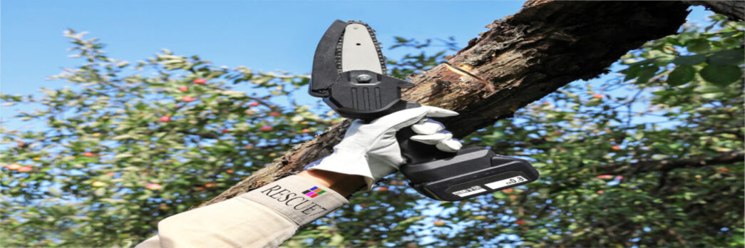 Laudo Podador de Galhos