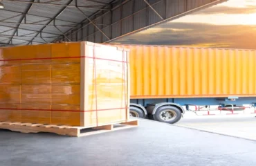 Curso Transpaleteira Elétrica NR 11 Curso Transpaleteira Elétrica NR 11