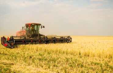 Colheitadeira moderna operando em campo de trigo – Uma colheitadeira de alta performance garantindo uma colheita eficiente e ágil, essencial para a produção agrícola em larga Colheitadeira moderna operando em campo de trigo – Uma colheitadeira de alta performance garantindo uma colheita eficiente e ágil, essencial para a produção agrícola em larga escala. - Curso NR 12 Anexo II e XI.