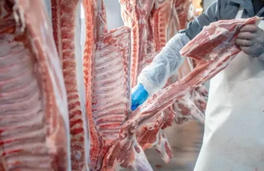 Curso NR 36 Curso NR 36