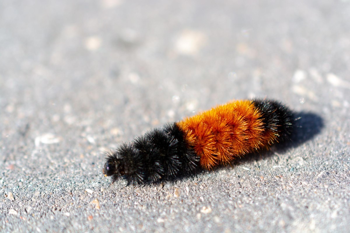 Contato direto pode causar queimaduras. Informação evita acidentes.