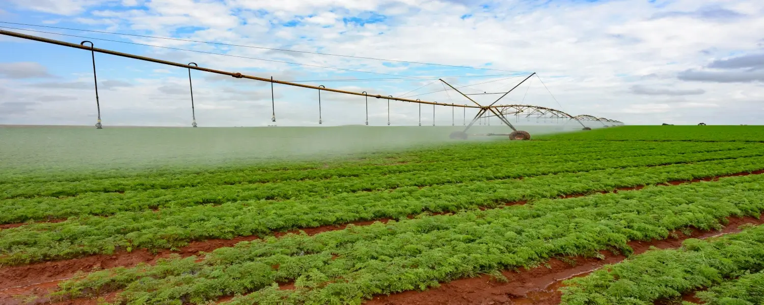 O pivô rotativo é um sistema de irrigação utilizado na agricultura para irrigar grandes áreas de maneira eficiente. Ele possui uma estrutura central que gira ao redor de um ponto fixo, com braços que se estendem radialmente e distribuem água enquanto se movem. Ao girar em um círculo, o pivô distribui a água de forma uniforme sobre uma vasta área, formando um círculo de irrigação.